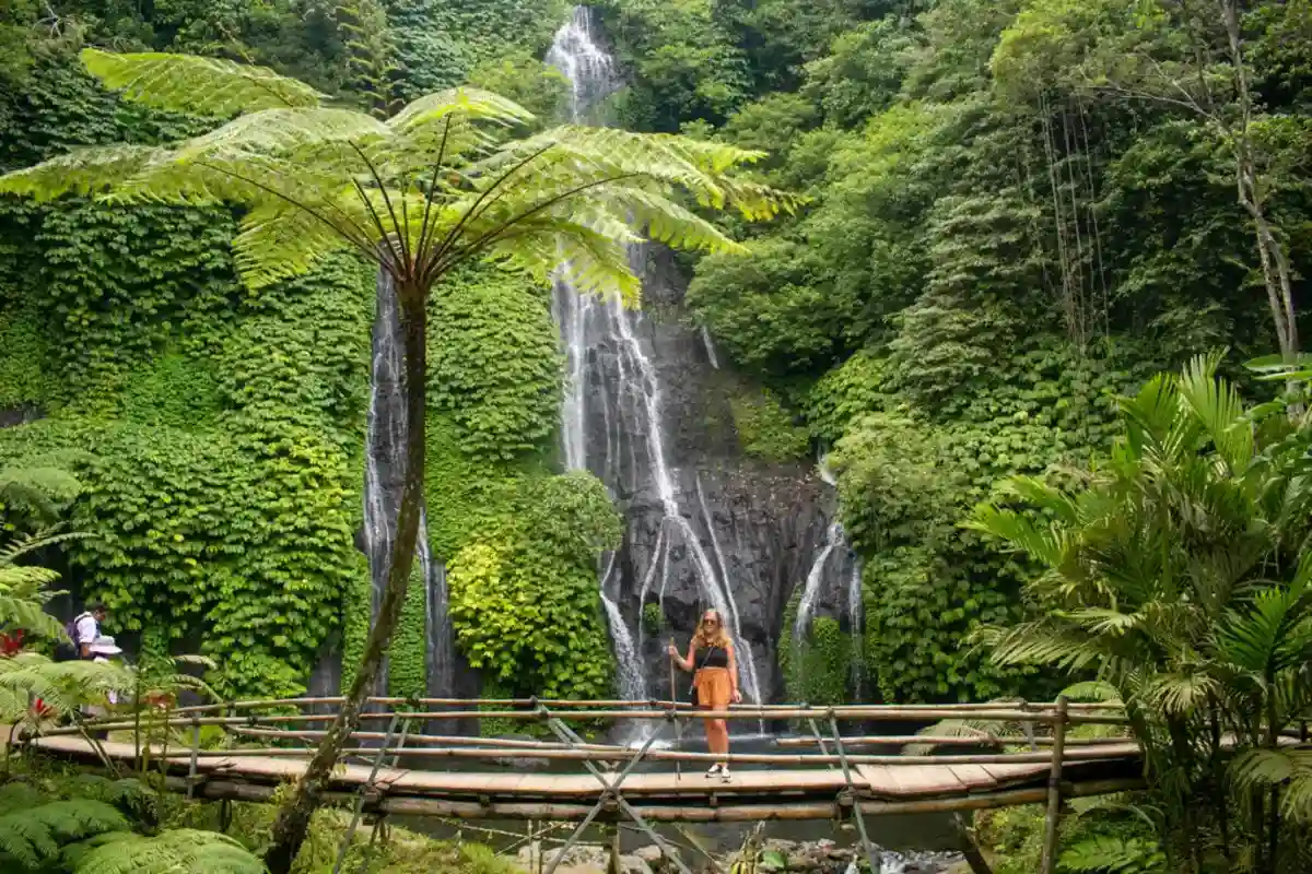 Banyumala Waterfall Tour