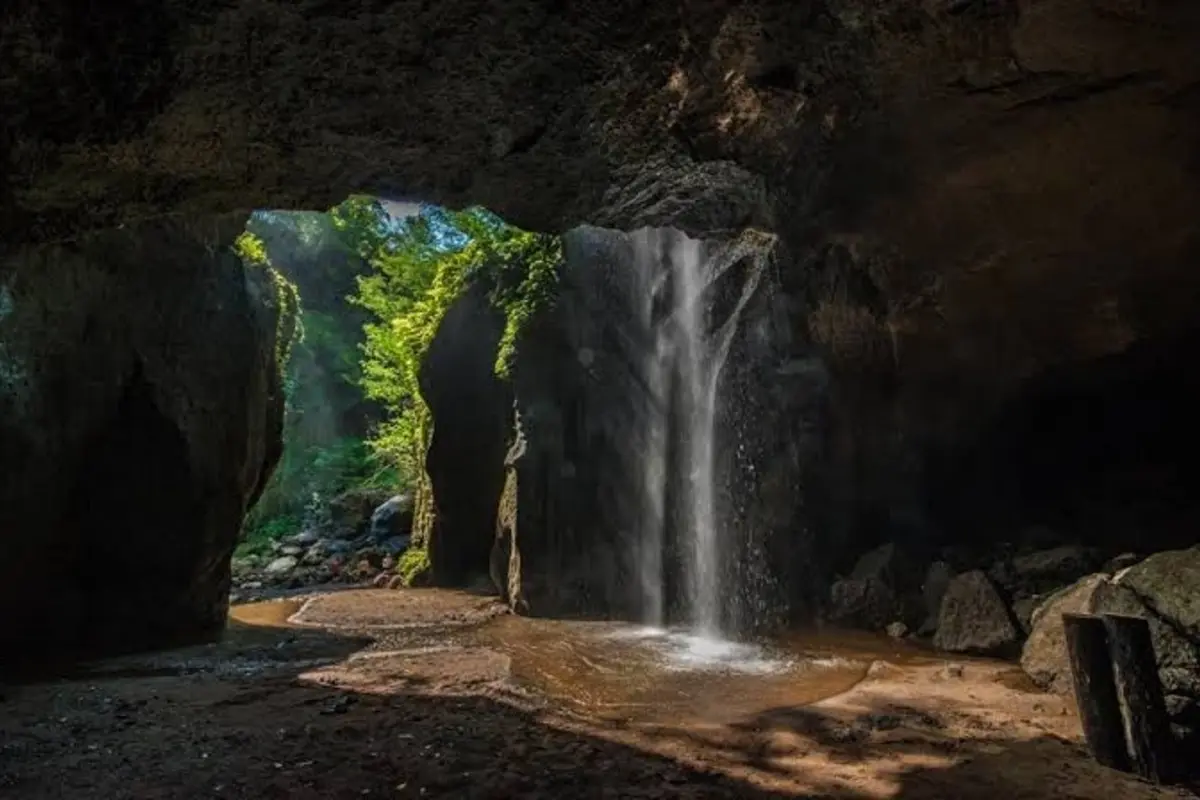 Ubud & Waterfall Tour