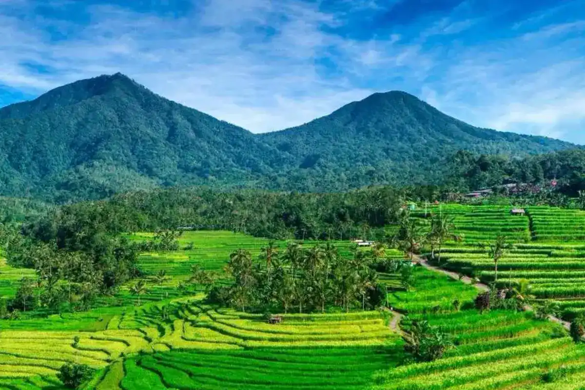Sport Tourism on the Rise: Running Through UNESCO World Heritage in Jatiluwih